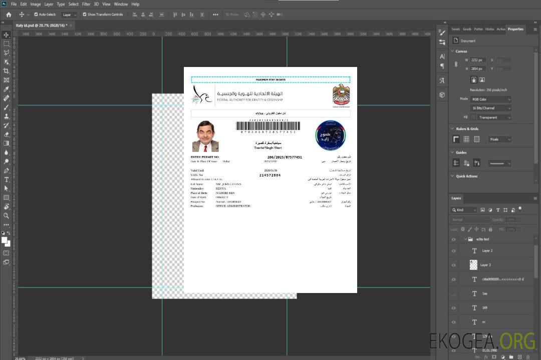 Modèle de visa électronique des Émirats arabes unis aux formats Word et PDF, version 6 template Modèle de visa électronique des Émirats arabes unis aux formats Word et PDF, version 6 template